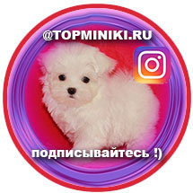 Наш Instagram